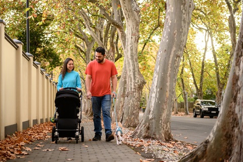 Couple walking with pram along tree-lined street